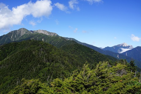 DSC02530