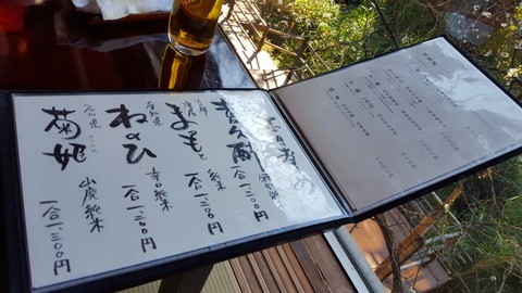 20160211_110127