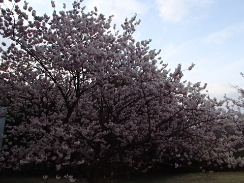 P3250657