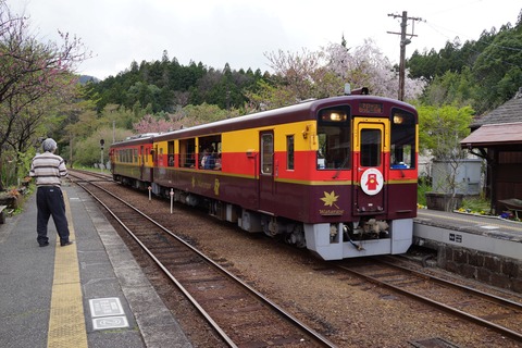 DSC05845