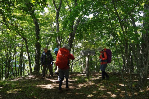 34 ナットウ箱山山頂。