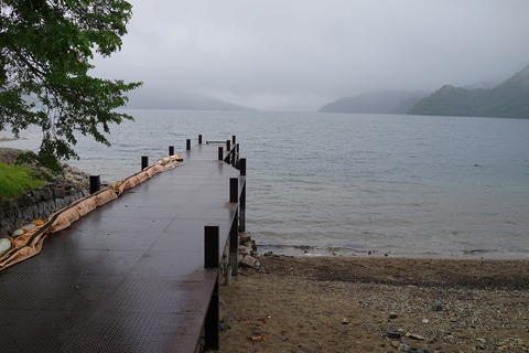 DSC08761