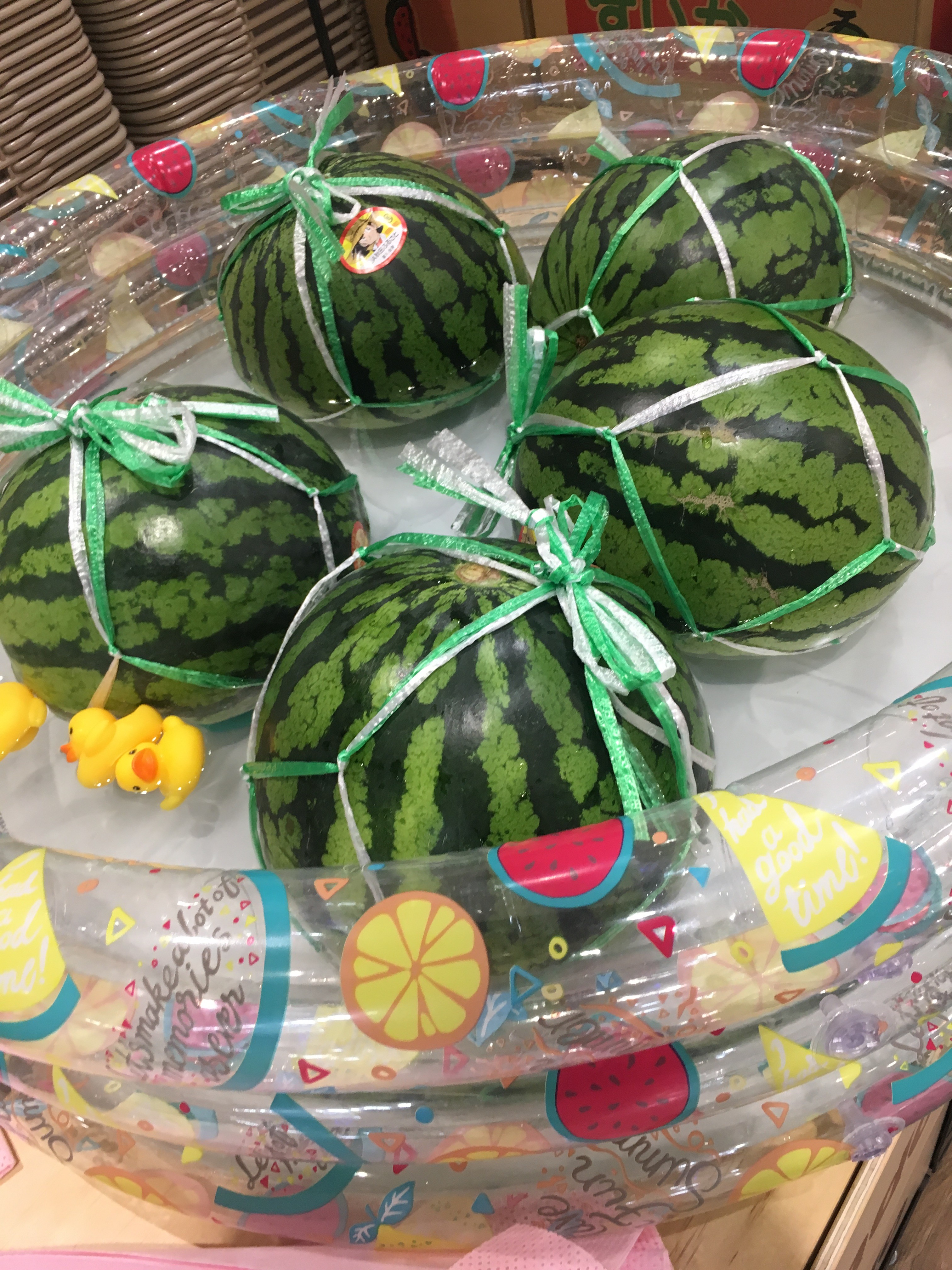 スイカの行水 暇人 時々ひるがの高原へ行く