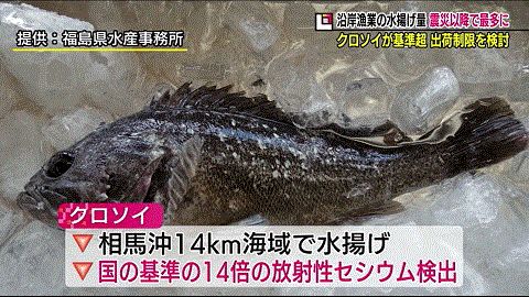kakuu07