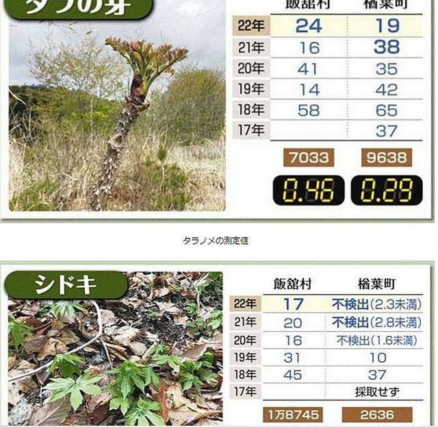 sansaiosen06
