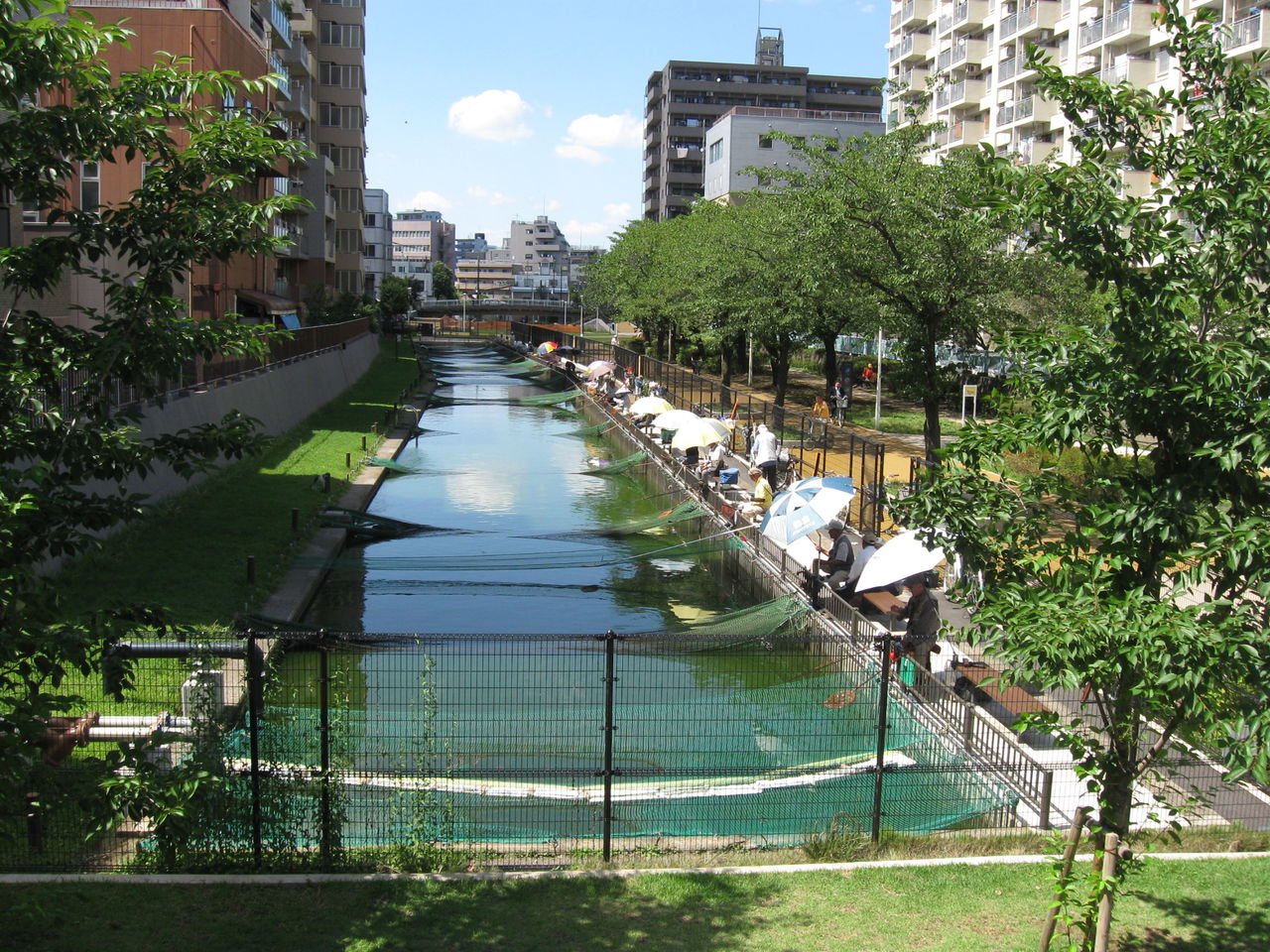 地域情報 墨田区 江戸川区 葛飾区 台東区 江東区