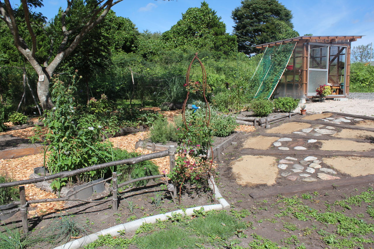 Nさんの庭 晴れ時々の山小屋暮らし