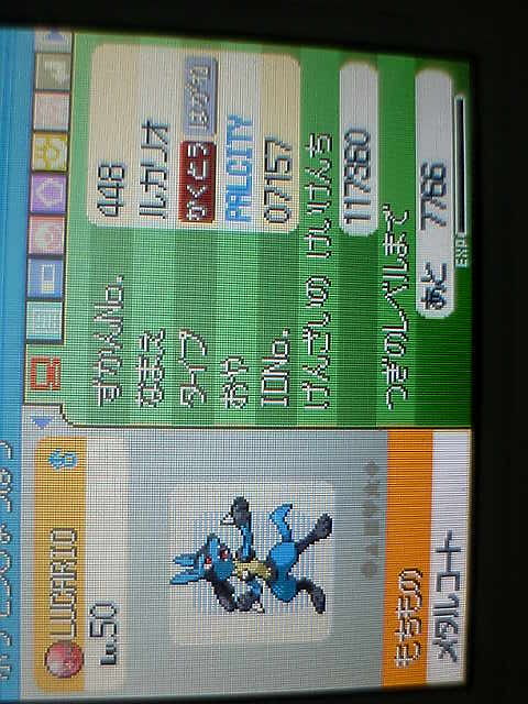 ジラーチ当選 パルシティ07 飛竜翔の生存報告