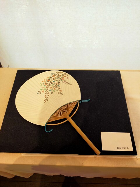 504064897_9982351358508636_2473073050688249571_n