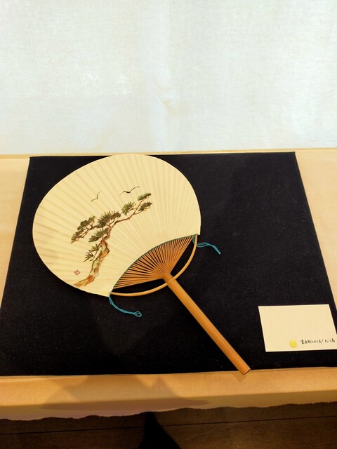 503949856_9982345901842515_7506492746752251338_n