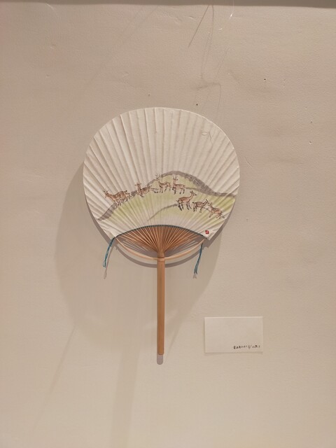 504065322_9982353381841767_7047500252394259760_n