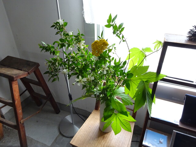 DSC00417