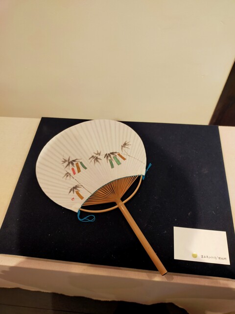 504234249_9982346578509114_6575602999508476817_n