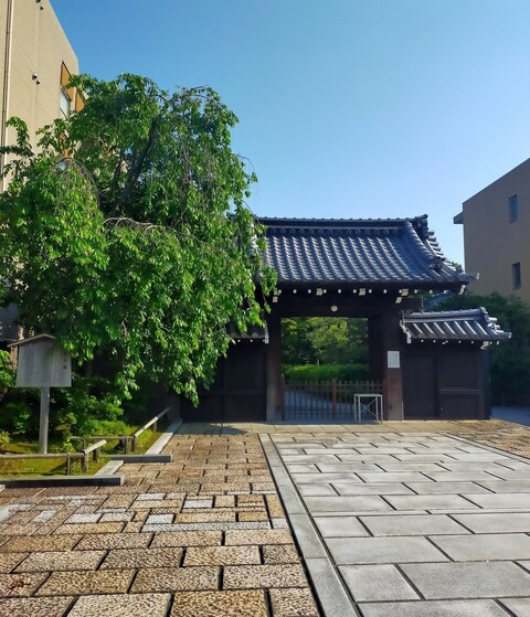 497535907_9812425338834573_4227104181817066249_n