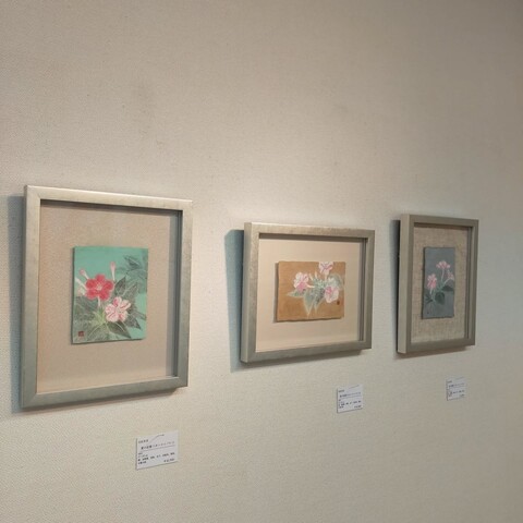 573547603_17910309924249183_2933110063807584085_n