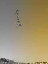 IMG_0935