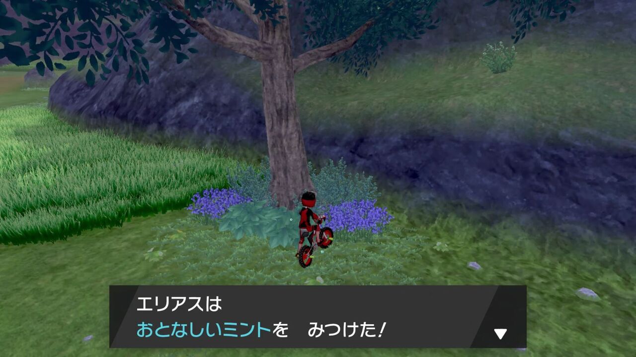 剣盾 ミント採取ポイント25カ所 法則 確率紹介 ヒサシmemo