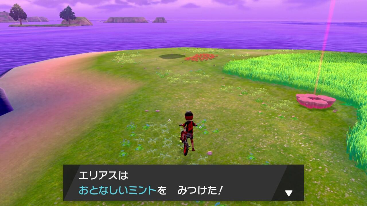 剣盾 ミント採取ポイント25カ所 法則 確率紹介 ヒサシmemo