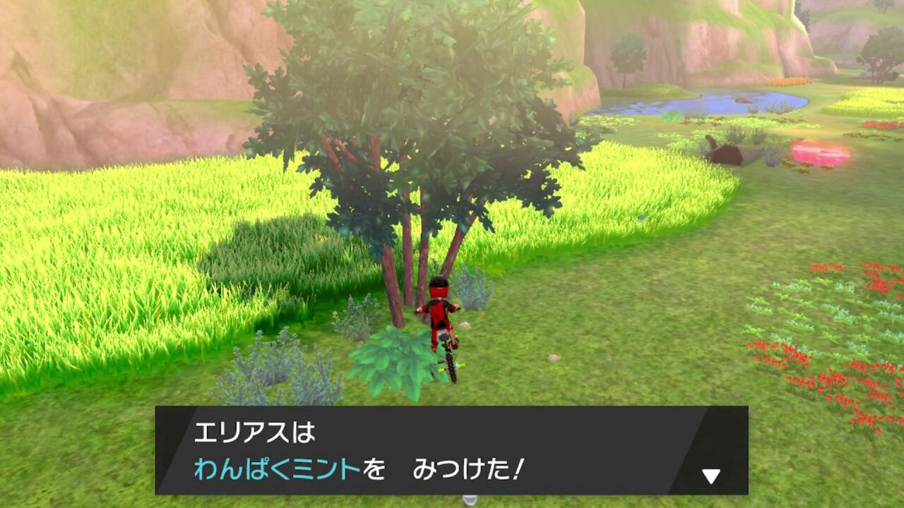 剣盾 ミント採取ポイント25カ所 法則 確率紹介 ヒサシmemo 剣盾 ミント採取ポイント25カ所 法則 確率紹介 ヒサシmemo