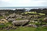 giants causeway1