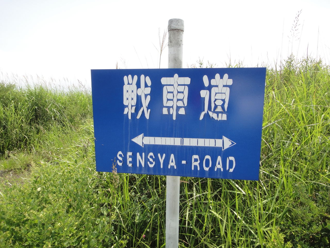 自衛隊北富士演習場 蝶と共に暮らす部屋