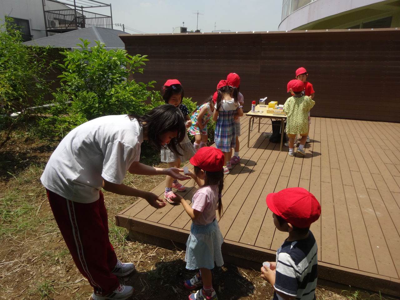 幼稚園児と高校生のふれあい 蝶と共に暮らす部屋 幼稚園児と高校生のふれあい 蝶と共に暮らす部屋