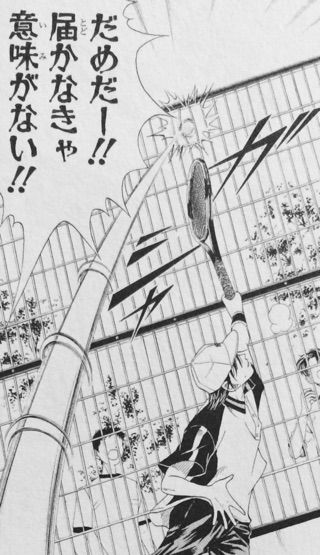 お久しぶりですテニスの王子様