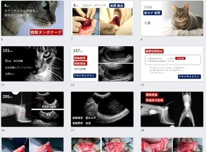 �����꡼�󥷥�å� 2025-08-28 221742