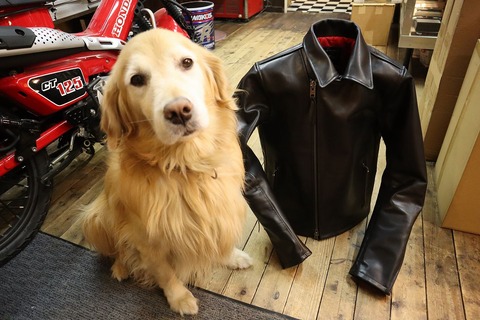 KADOYA History別注牛革 ダブルライダース T WR Lサイズ KADOYA History別注牛革 ダブルライダース T WR Lサイズ