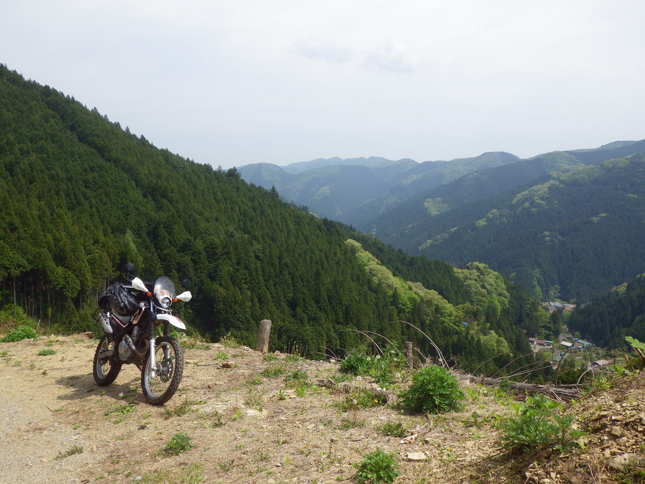 都内の林道 最終章 後編 Japanese Black Army