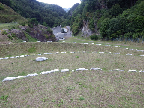 IMGP2530