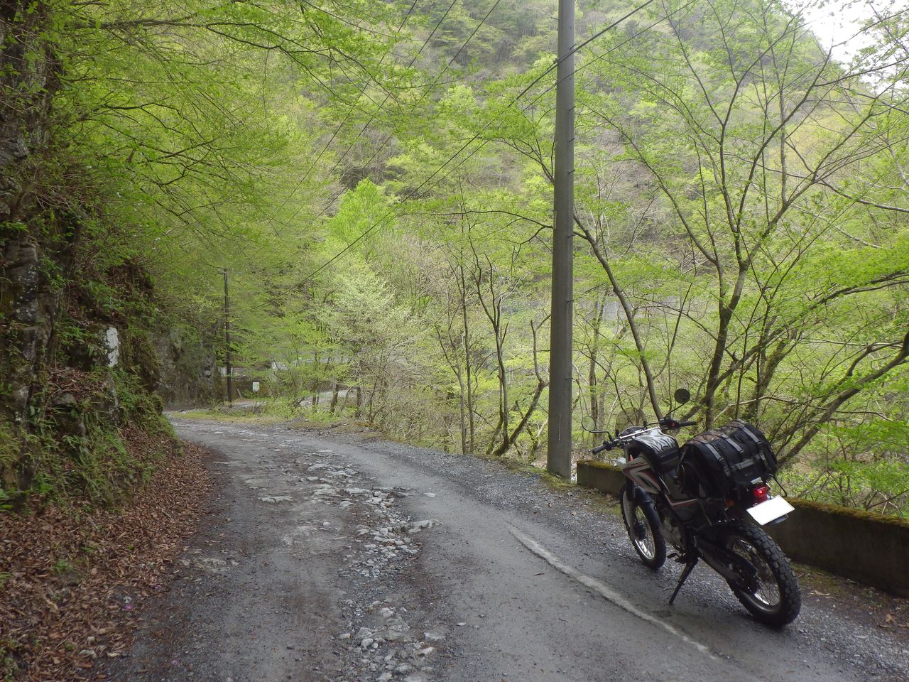 林道孫惣谷線に挑む Japanese Black Army