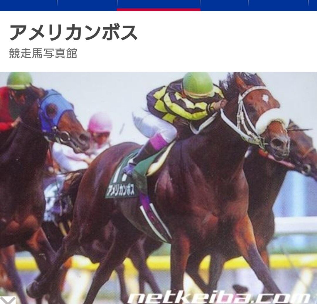 不定期 俺コラム 私と競走馬 第6回 アメリカンボス 会心のレース ひぃの遺書