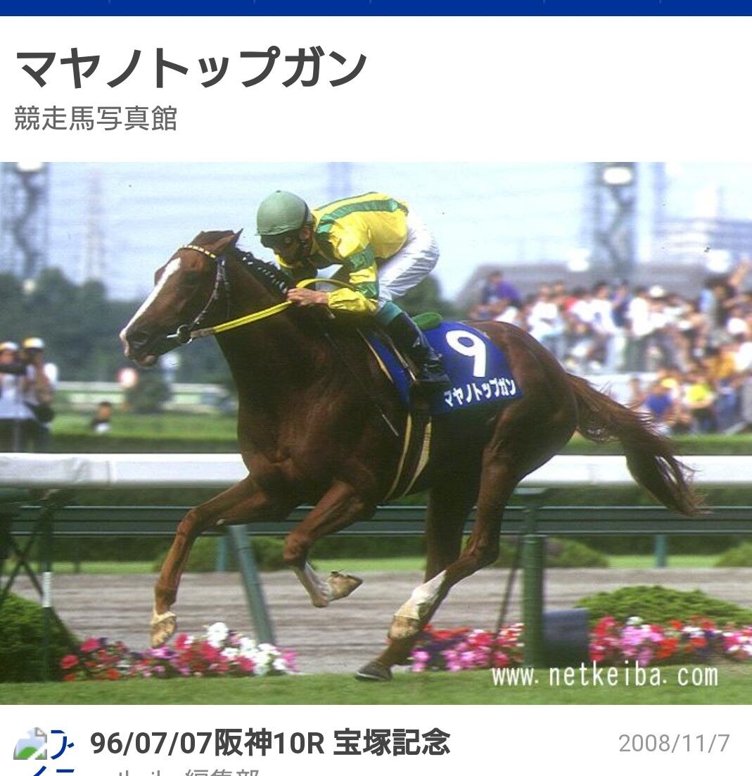 不定期 俺コラム) 【私と競走馬】第5回 マヤノトップガン