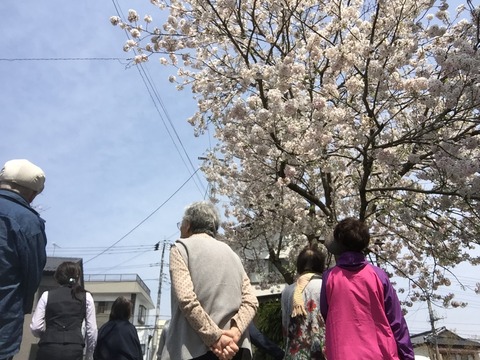 写真 2017-04-15 11 03 11