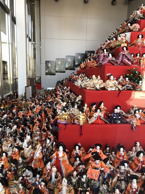 写真 2018-02-15 11 44 28