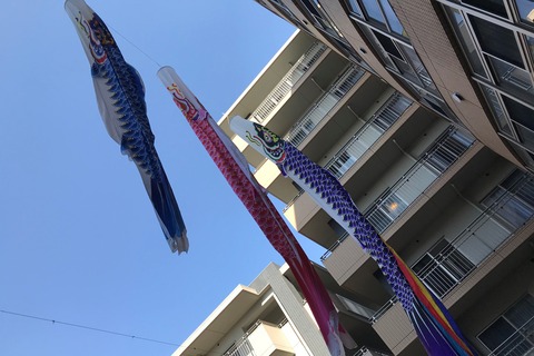 写真 2019-04-06 14 08 23 (2)