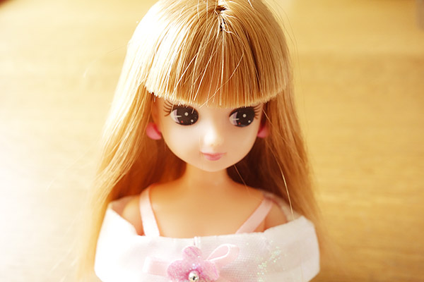 コストコで女子力がアップしそうな魔法のブラシをゲットした