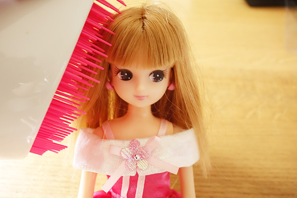 コストコで女子力がアップしそうな魔法のブラシをゲットした【超おすすめ】