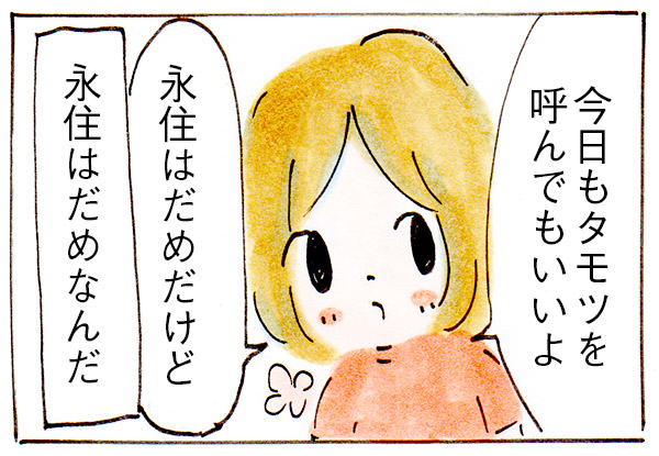 【あつ森】ゴリラを島に住まわせたくないといった娘の変化