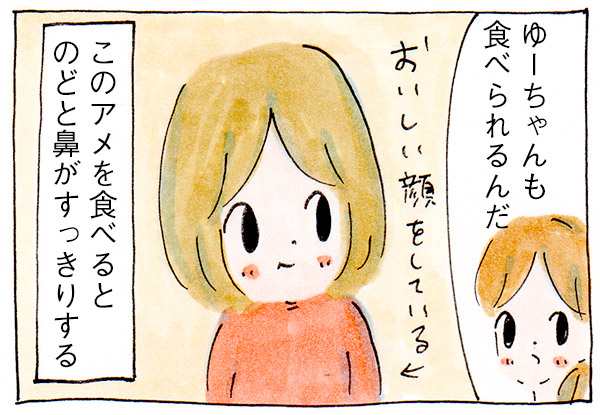 コストコ商品おすすめ!リピ買い決定のキャンディー