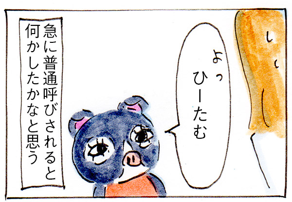 【あつ森】どうぶつの好感度が下がるのなんで