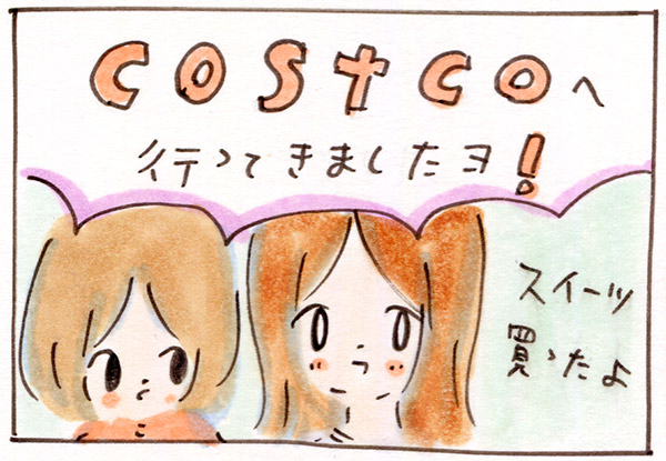 コストコ購入品をちょっと紹介!スイーツも買ったよ