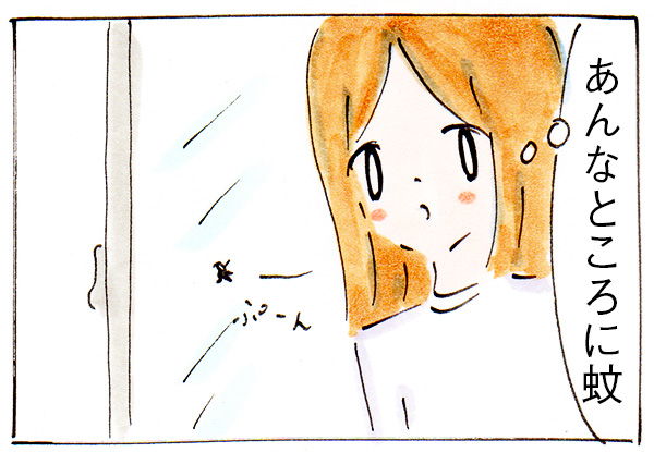 虫を無視できない性格の女【子育て主婦の日常】