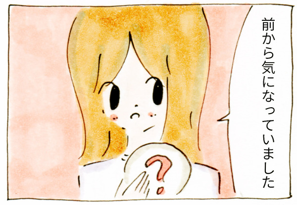 業務スーパーのいちど食べてみたかったお菓子