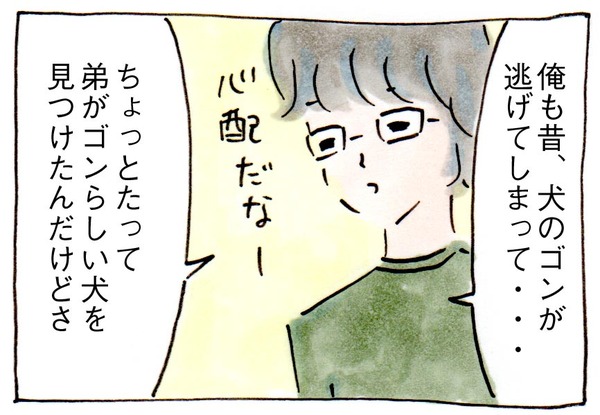 北陸豪雪の日に実家の犬がいなくなったことと、ふるさと納税による災害支援