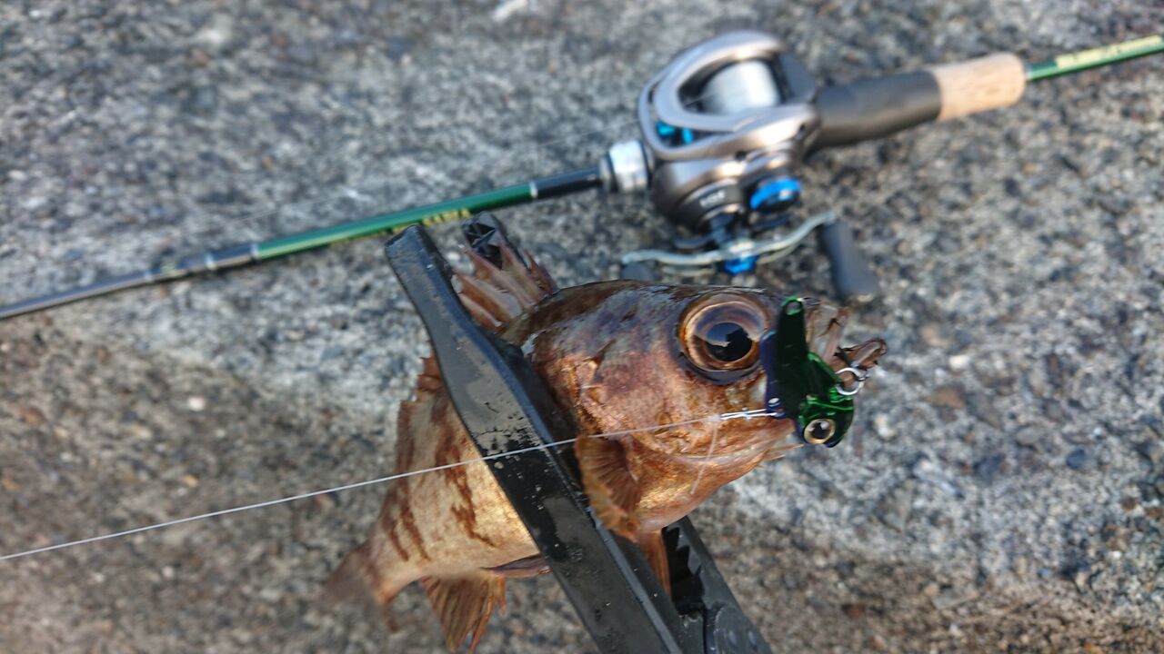 インプレ】ワールドシャウラ1600SSを4カ月使った感想 : 釣り人 インプレ】ワールドシャウラ1600SSを4カ月使った感想 : 釣り人