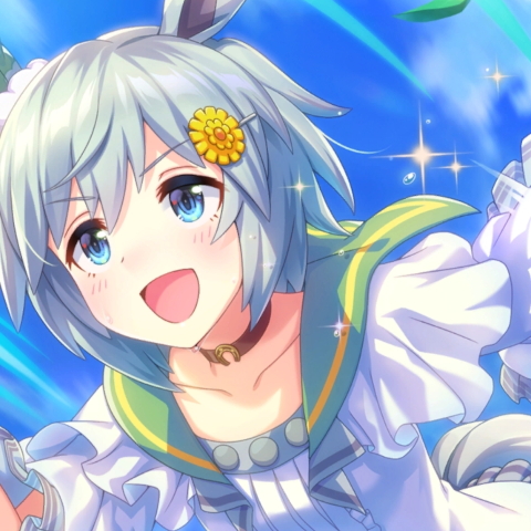 セイウンスカイ 待望の大謀 ウマ娘 ２次元女子の壁紙をひたすら大量に作りまくる 高画質