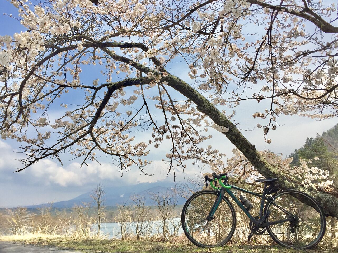自転車歴9ヶ月の初心者女子が月間3000km走ってみた : 一橋サイクリング 