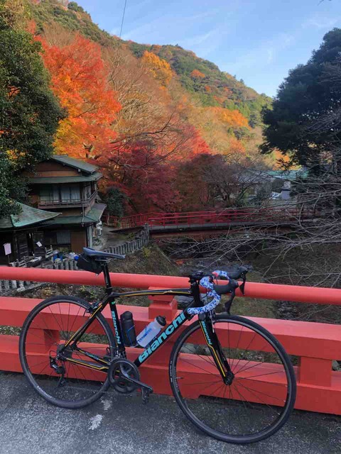 生きがい 自転車の魅力 一橋サイクリング部公式ブログ 生きがい 自転車の魅力 一橋サイクリング部公式ブログ